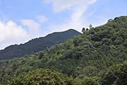 03 - Mount Hiei 